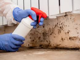 Best Indoor Air Quality Assessment  in Browns Lake, WI